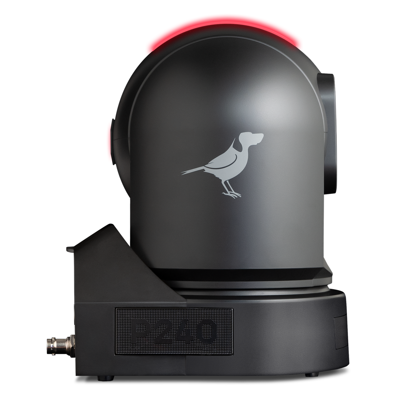 BirdDog Eyes P240 40x Optical Zoom 1080P Full NDI PTZ Camera (Black)