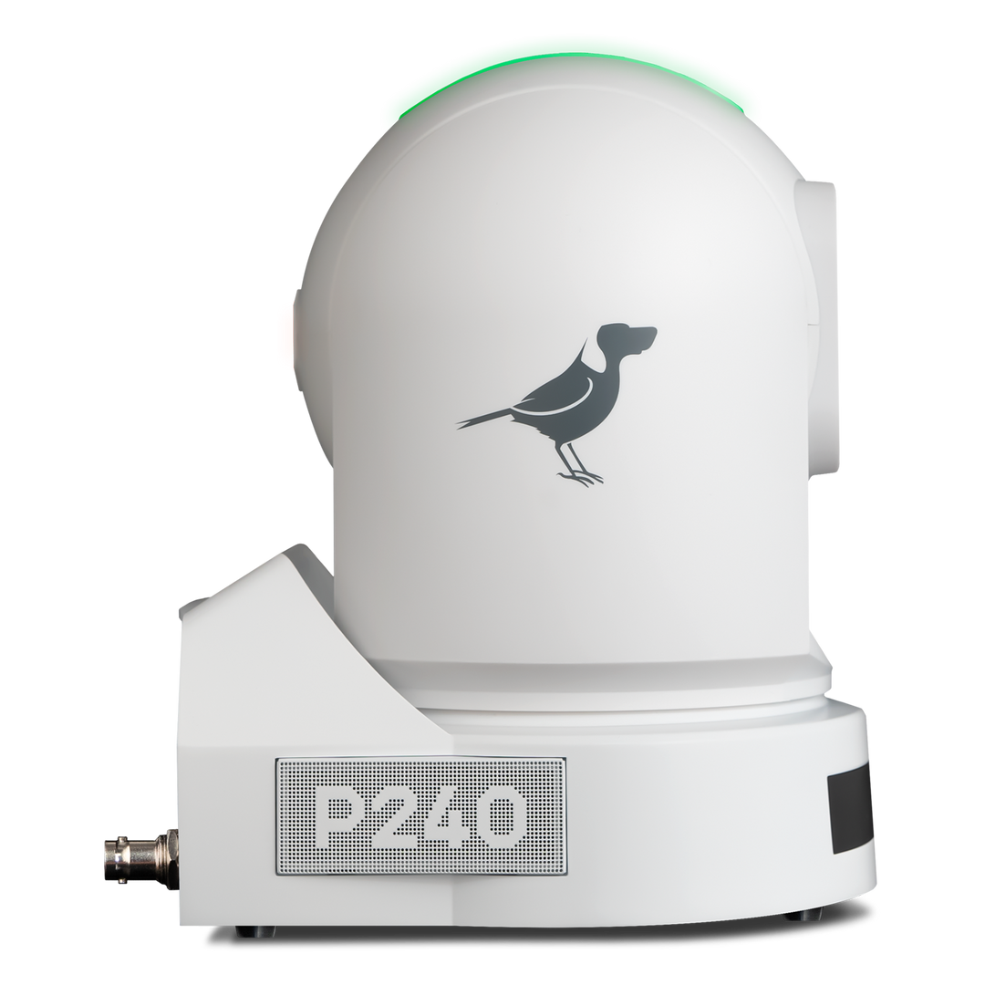 BirdDog Eyes P240 40x Optical Zoom 1080P Full NDI PTZ Camera (White)