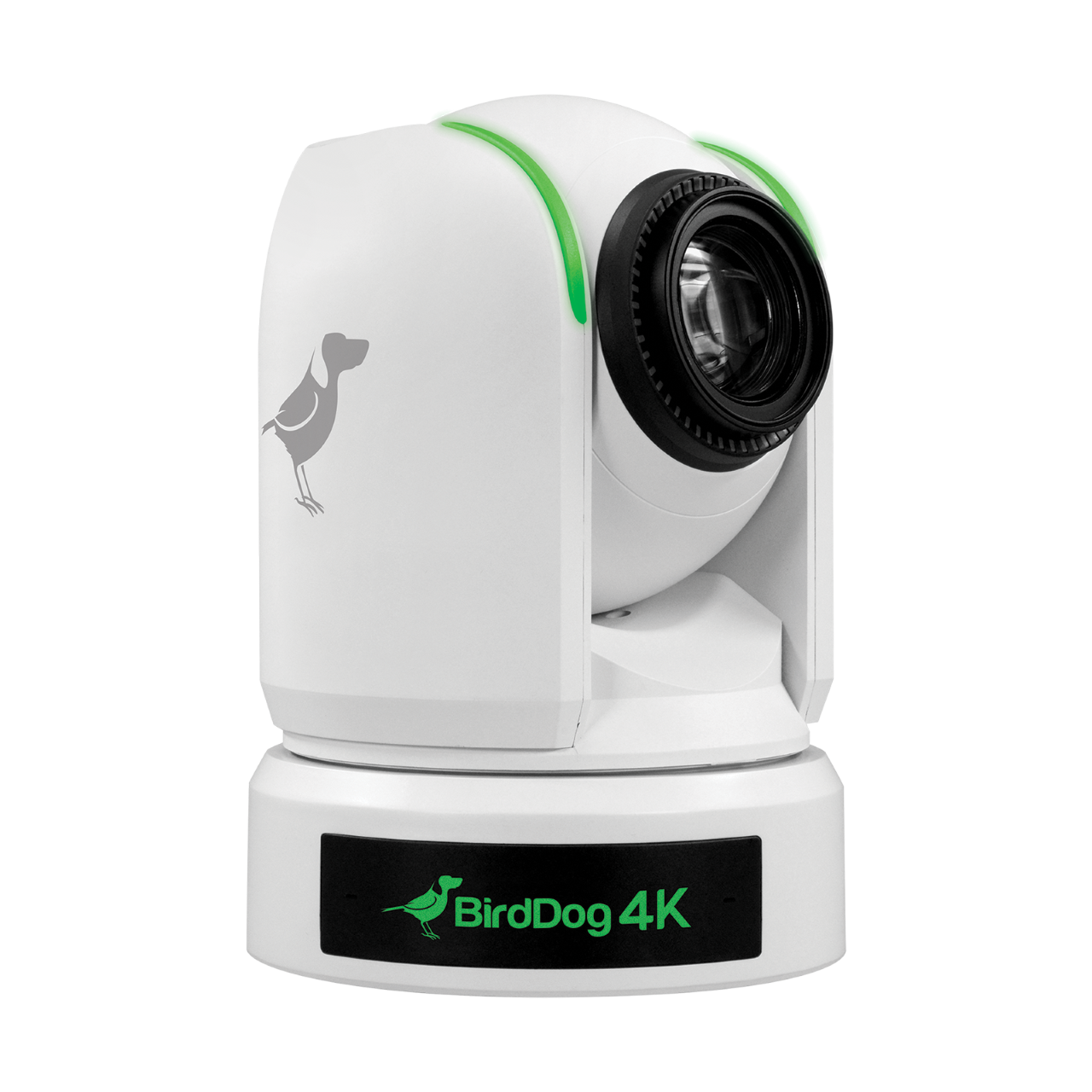 BirdDog BDP4K 4K 12x Full NDI PTZ Camera White