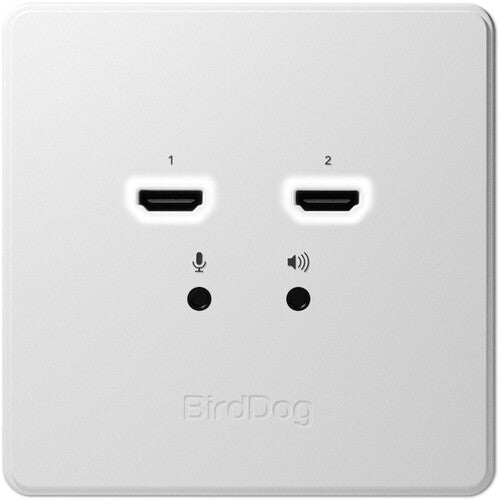 BirdDog Wallplate Dual Input