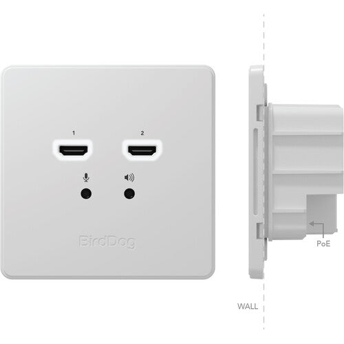 BirdDog Wallplate Dual Input