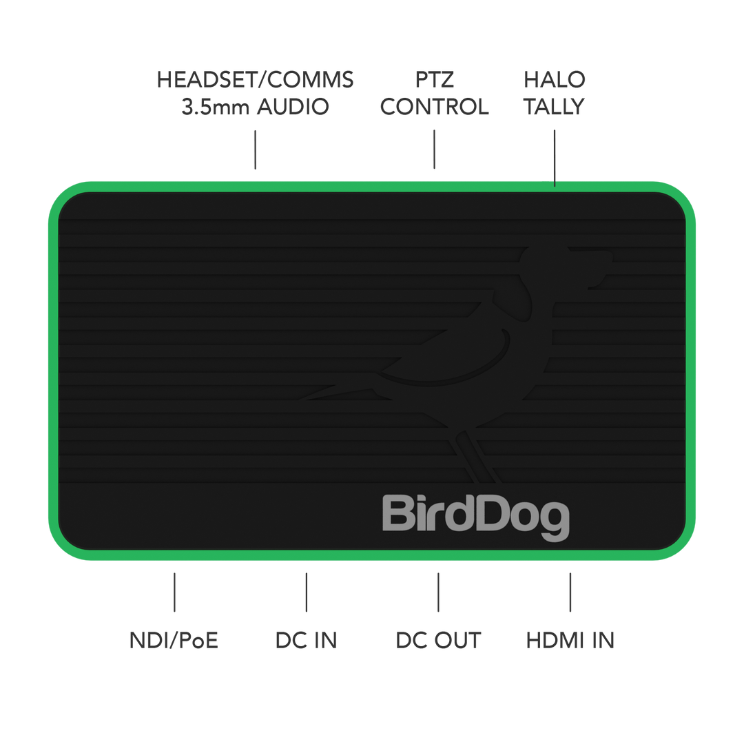 BirdDog Flex 4K IN