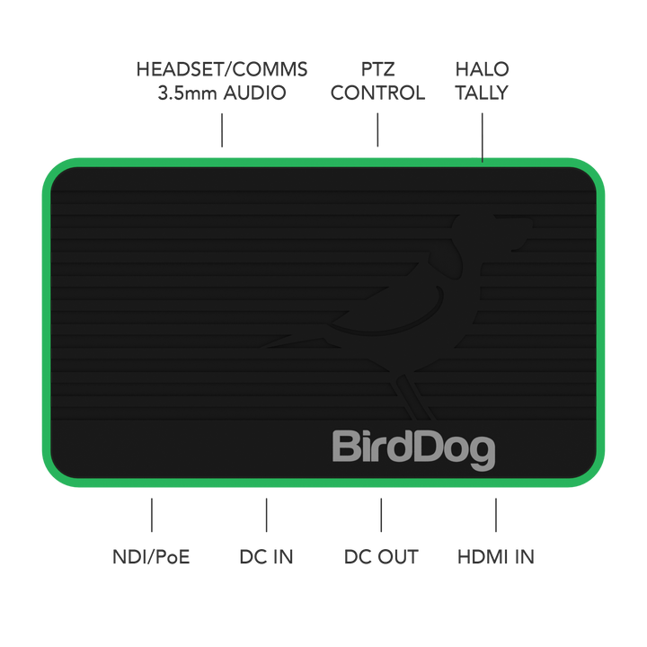 BirdDog Flex 4K IN