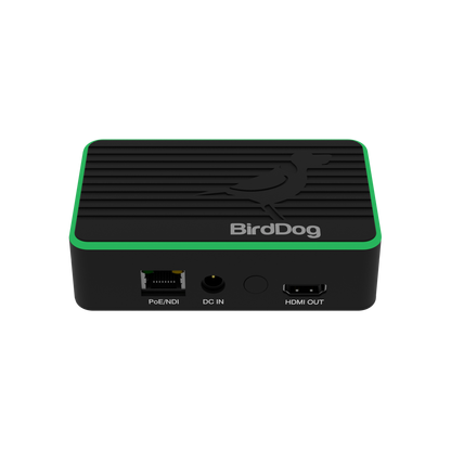 BirdDog Flex 4K OUT