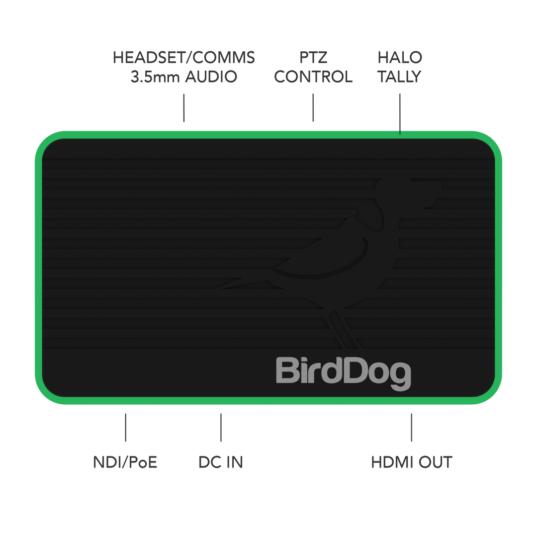 BirdDog Flex 4K OUT