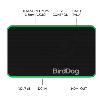 BirdDog Flex 4K OUT
