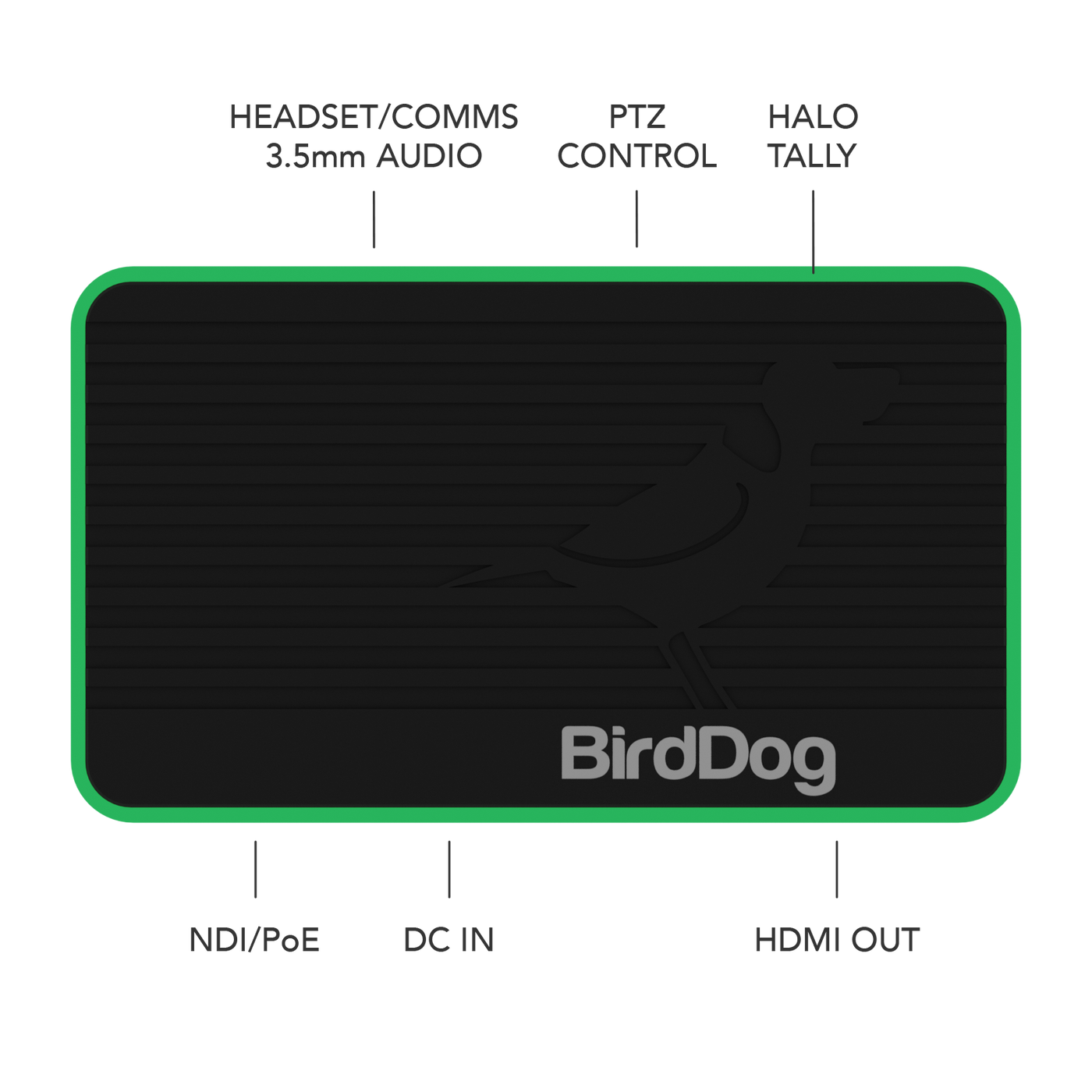 BirdDog Flex 4K OUT