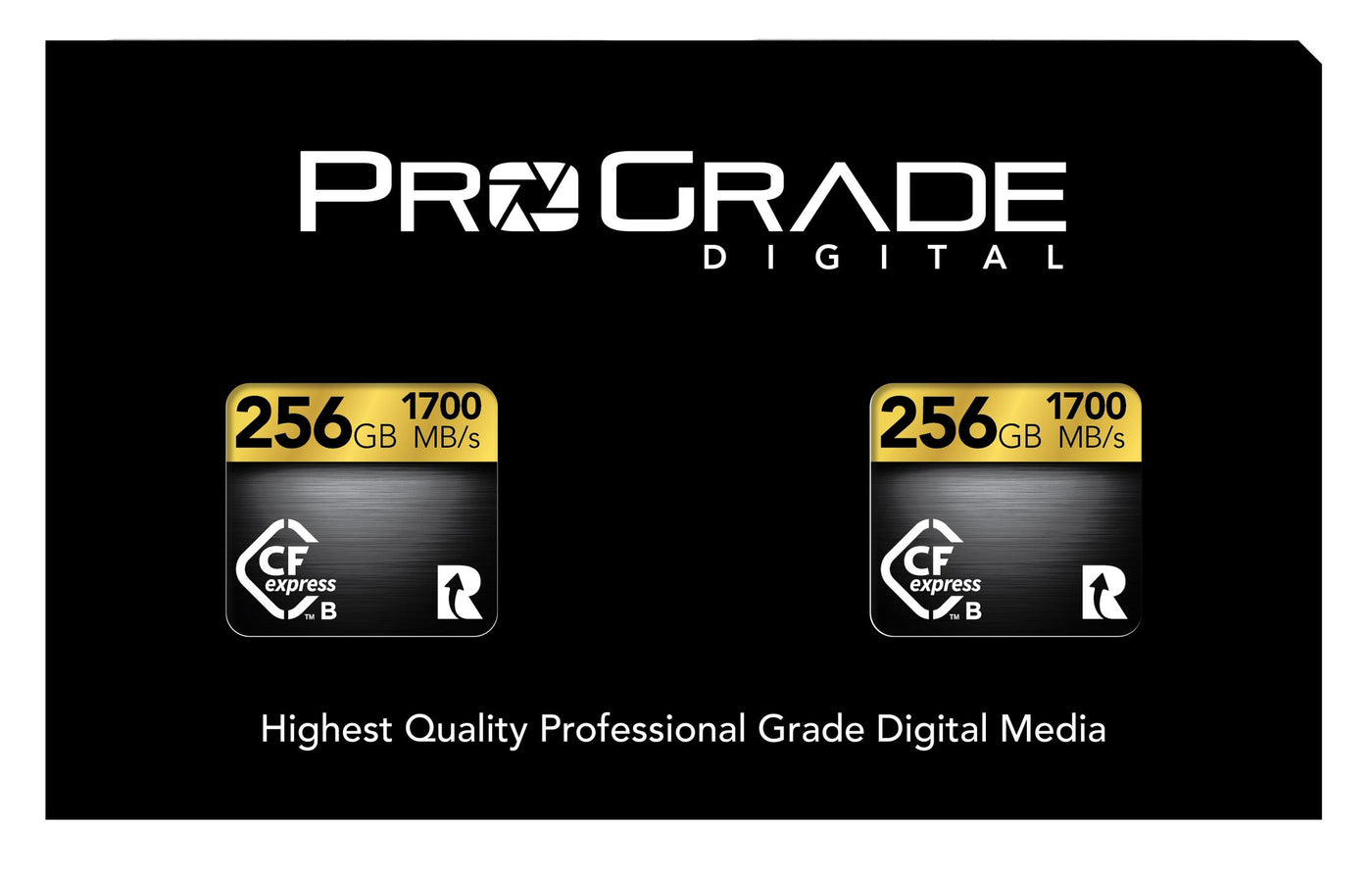 ProGrade Digital 256GB CFexpress 2.0 Memory Card, 2-Pack