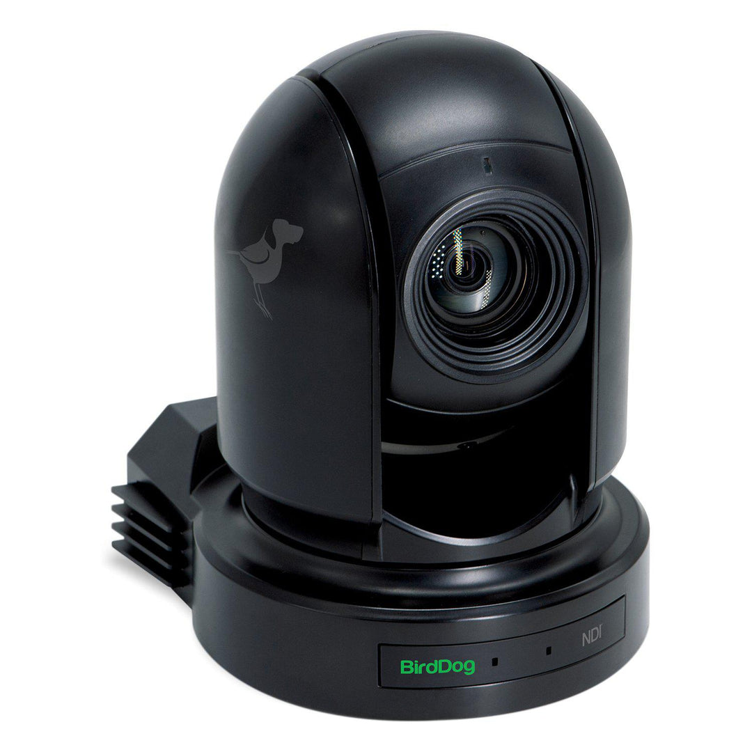 BirdDog Eyes P200B 1080P 30x Full NDI PTZ Camera w/Sony Sensor & HDMI/3G-SDI (Black)