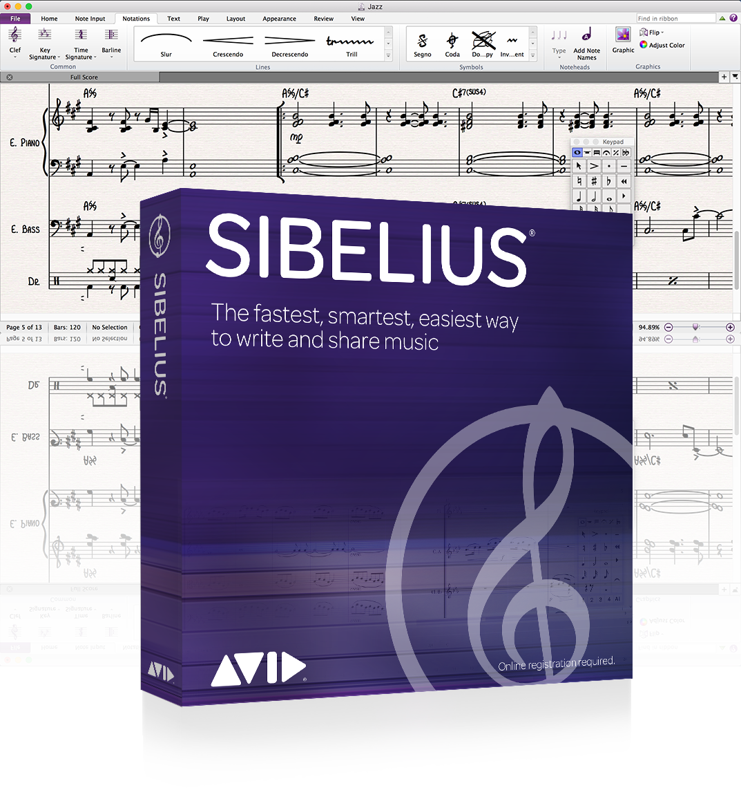 Avid Sibelius Perpetual License NEW