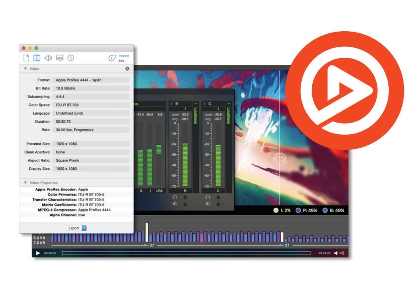 Telestream Switch 5 Pro (Upgrade from 5 Player) - Mac