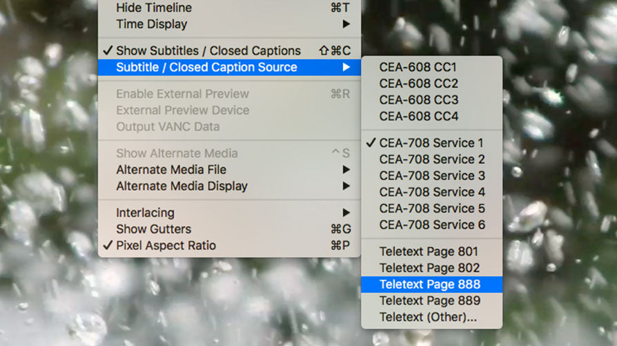 Telestream Premium Support for Switch Plus additional year (optional)