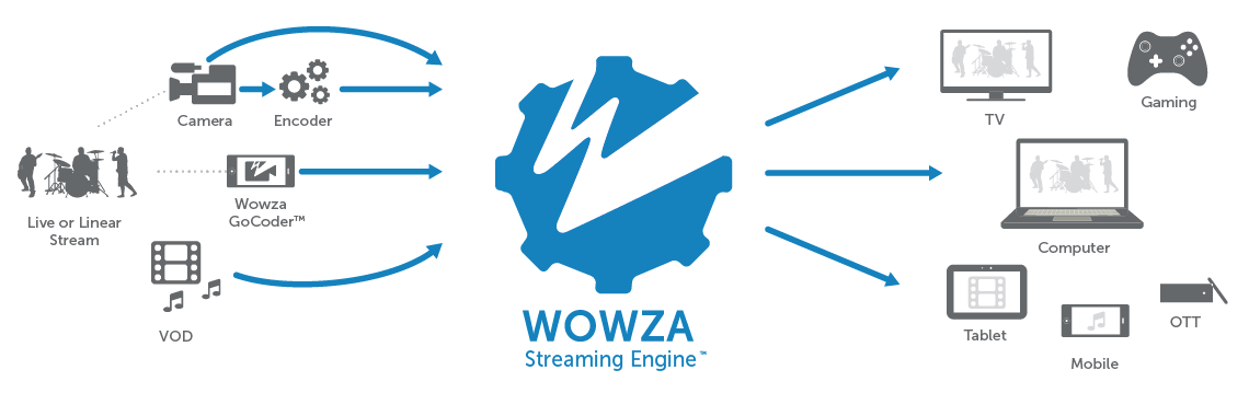 Wowza Streaming Engine Media Server Software, Perpetual Pro License